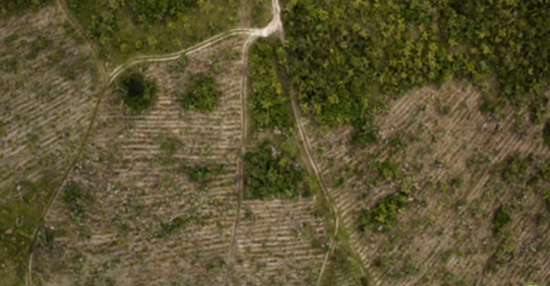 Screenshot_3